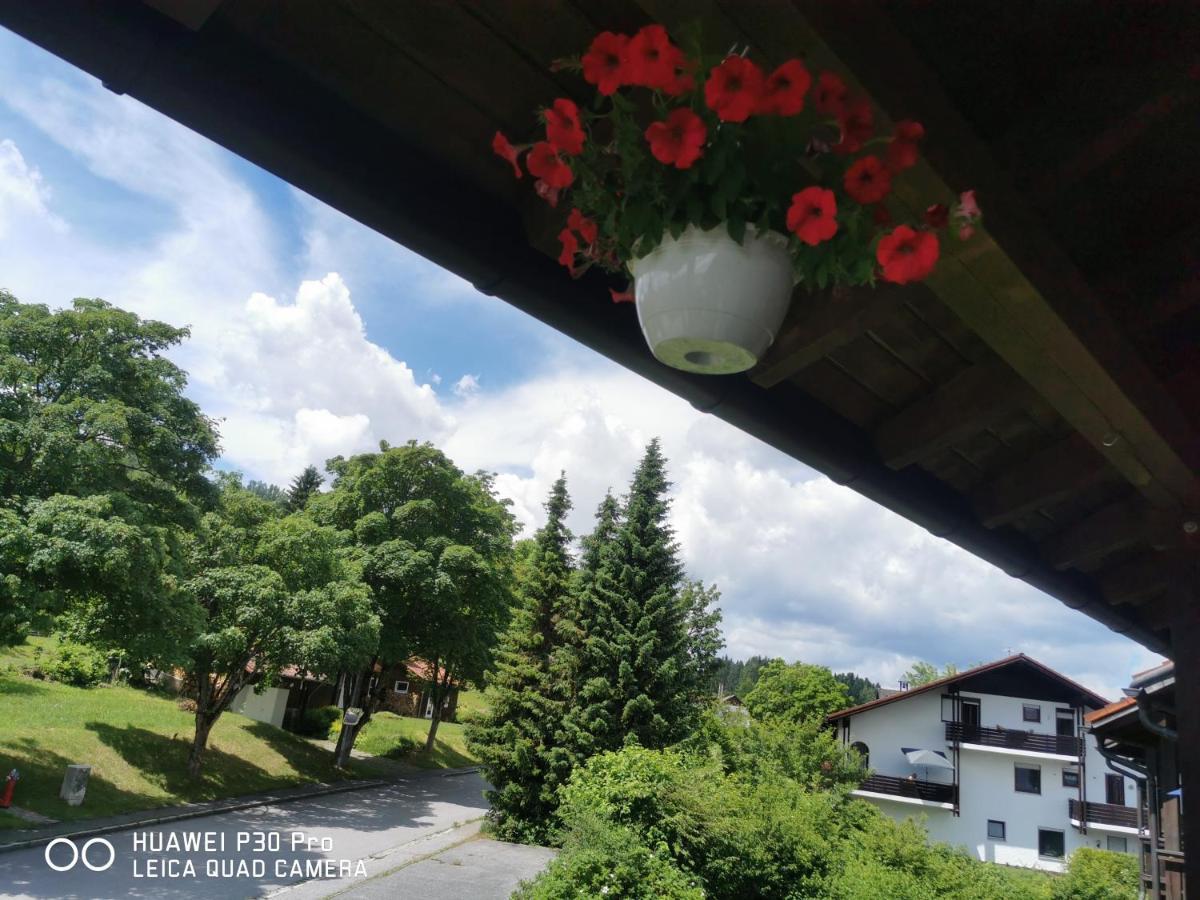 Aparthotel Chrysantihof - Bayerische Wald-Weber Zwiesel Exterior photo